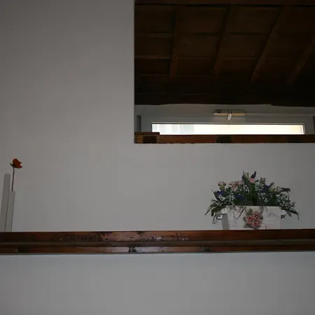 Apartment Allegri Florence